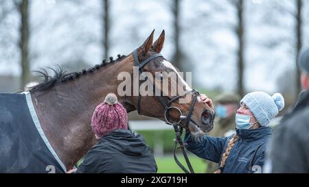 Siebtes Rennen in Wincanton, 8. Januar 2022 Stockfoto