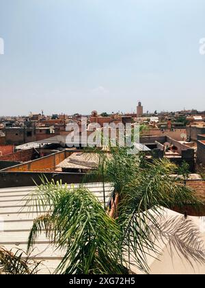 Eine üppige Palme steht hoch auf einem Dach in Marrakesch und bietet einen schattigen Blick auf die Stadt darunter. Das Stadtbild ist eine Mischung aus Terrakotta-Dächern, VI Stockfoto