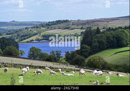 Ein Blick über den unteren Laithe Stausee zum Penistone Hill, Haworth Moor, West Yorkshire Stockfoto