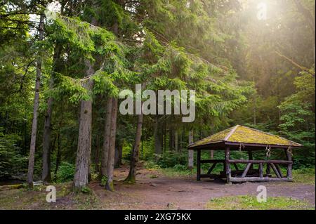 Bezauberndes Camp Arbor in üppigem Wald bezaubernde Natur. Entspannen, Festival, Mittsommer, Camp Stockfoto