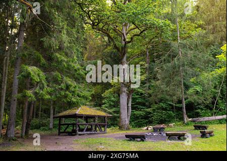 Bezauberndes Camp Arbor in üppigem Wald bezaubernde Natur. Entspannen, Festival, Mittsommer, Camp Stockfoto