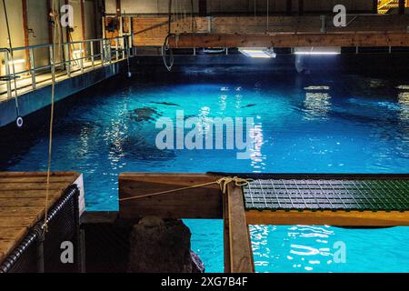 Hinter den Kulissen Diergaarde Blijdorp Zoo: Hinter den Kulissen des Aquariums. Rotterdam, Niederlande. Rotterdam Diergaarde Blijdorp Zuid-Holland Nederland Copyright: XGuidoxKoppesxPhotox Stockfoto