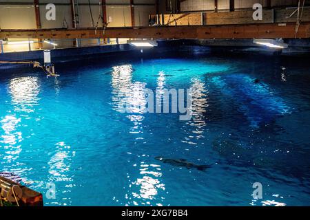 Hinter den Kulissen Diergaarde Blijdorp Zoo: Hinter den Kulissen des Aquariums. Rotterdam, Niederlande. Rotterdam Diergaarde Blijdorp Zuid-Holland Nederland Copyright: XGuidoxKoppesxPhotox Stockfoto