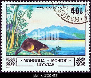 MONGOLEI - UM 1982: Eine in der Mongolei gedruckte Briefmarke aus der Ausgabe "Landschaften und Tiere" zeigt den Hovd-See und den eurasischen Biber Stockfoto