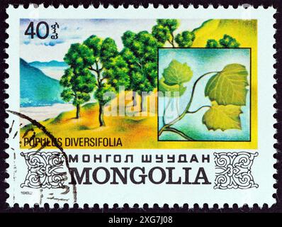 MONGOLEI - UM 1982: Ein in der Mongolei gedruckter Stempel aus der Ausgabe „Bäume der Mongolei“ zeigt Wüstenpappel (Populus diversifolia) Stockfoto