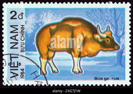 VIETNAM - UM 1984: Ein in Vietnam gedruckter Stempel aus der Ausgabe „geschützte Tiere“ zeigt Gaur (Bos gaurus) Stockfoto