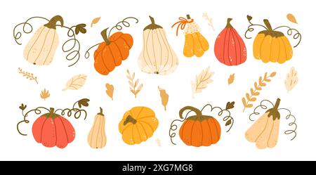 Kürbisset in verschiedenen Formen und Farben. Strukturiertes herbstreifes Erntegemüse. Vektor Hand gezeichnet flache Sammlung Illustration isoliert auf weiß Stock Vektor