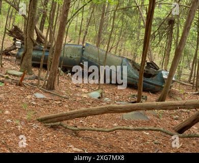 Ein sehr altes Auto auf dem Dach und rostet im dichten Wald in der Nähe des Jordan Lake in North Carolina. Stockfoto