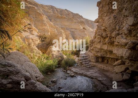 Der kleine Teich mit den Treppen zum Wandern im Tal des ein Gedi Reservats, dem östlichen Teil Israels an der Grenze zu Jordanien. Stockfoto