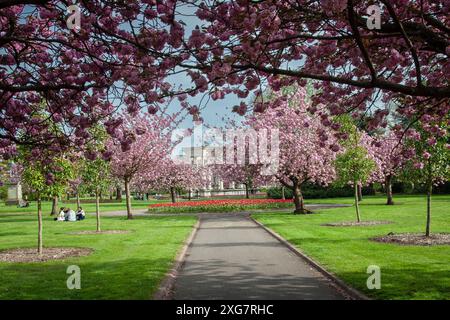 Alexandra Gardens in Cardiff Capital City of Wales Stockfoto