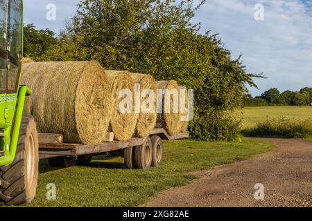 Frisch geschnittene und geerntete Heu-Ballen Anfang Juli werden geladen und trocknungsfertig geladen und dann bis zum Winter im Vereinigten Königreich, Graveley Hertfordshire, gelagert Stockfoto