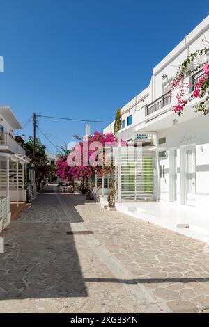 Die Hauptallee der Insel Antiparos mit den Geschäften, den weiß getünchten Häusern und Bougainvilleas Stockfoto