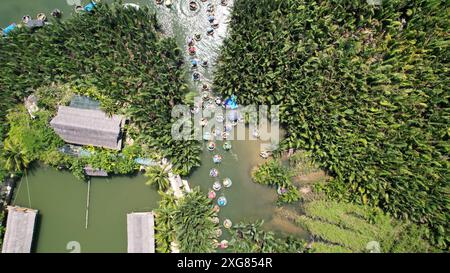 Touristen nehmen an der Bootstour mit dem Coconut Forest Basket in Hoi an, vietnam Teil. Das bsaket-Boot, auch vietnamesische Korakel genannt, ist eines der lokalen kleinen runden Stockfoto