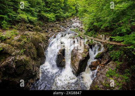 Der Black Linn fällt am Braan, der Eremitage, Dunkeld, Perth und Kinross, Schottland Stockfoto