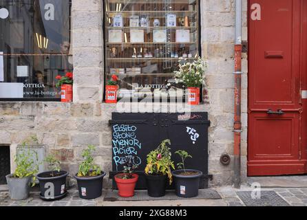 Die Passage des Arts, die kunstvolle Rue des Vieux Murs in Lilles Altstadt mit flippigen Kunstgalerien und Restaurants, Frankreich Stockfoto