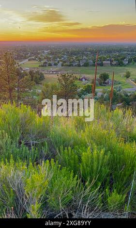 Blick auf Fort Collins, Colorado bei Sonnenaufgang. Stockfoto