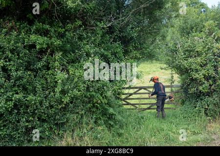 Ein Arbeiter, der Schutzkleidung trägt, benutzt einen Stürmer, um langes Gras an einem Tor zu einem Feld am 30. Juni 2024 in Branscombe, Devon, England, aufzuräumen. Stockfoto