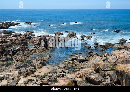 Atlantikküste mit blauen Wellen, die auf braunen Felsen mit Algen zerschmettern. Stockfoto