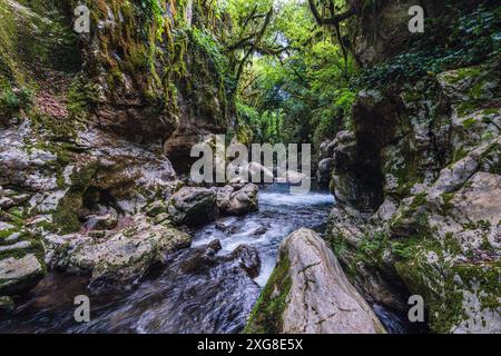 Herrliche Landschaft in der Grotte del Bussento WWF Oase, in der Nähe von Morigerati. Cilento, Kampanien, Italien. Stockfoto