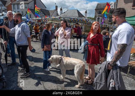 Samstag Markt in Hay-on-Wye, Wales, Großbritannien Stockfoto