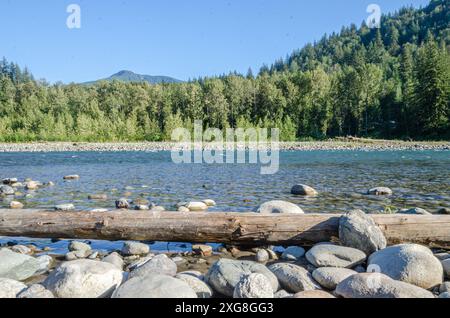 Faszinierender Blick auf den Vedder River, der sich durch Chilliwack, British C, Olumnbia, Kanada schlängelt Stockfoto