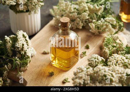 Schafgarbe-Tinktur in einer transparenten Glasflasche Stockfoto