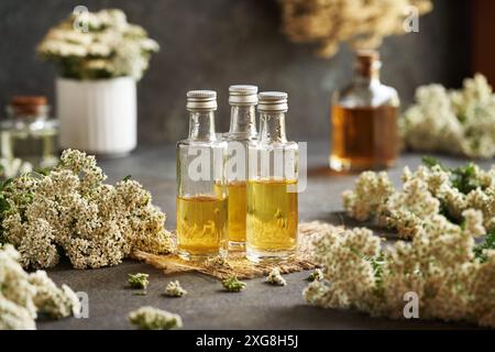 Flaschen mit hausgemachter Kräutertinktur aus frisch blühender Schafgarbe Stockfoto