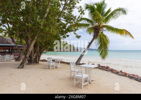 Cote D'Or Beach, Praslin Island. Blick auf die Seychellen mit weißen Holztischen und -Stühlen unter Palmen Stockfoto