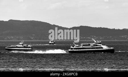 Hochgeschwindigkeits-Passagierkatamaran Ekspressen, Abfahrt von Askoey nach Bergen Norwegen, auf dem Weg durch Byfjord. Treffen auf den Hochgeschwindigkeitskatamaran Harda Stockfoto