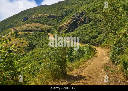 Ein kurzweiliger Prozess entlang der Bergseite in Marin Headlands, Kalifornien. Stockfoto