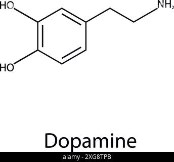 Chemische Formel des Dopamins. Organische Chemie. Vektor. Stock Vektor