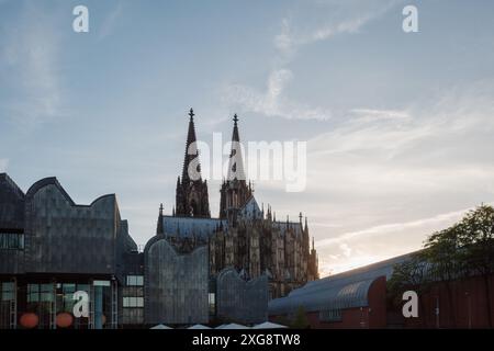 Außenansicht des Kölner Doms und des Museums Ludwig vor Sonnenuntergang. Stockfoto