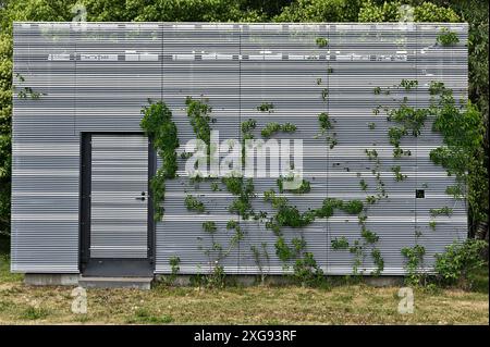 Ein modernes Gebäude mit einer Metalllattenfassade, die teilweise von grünen Kletterpflanzen bedeckt ist. Das Gebäude verfügt über eine zentrale Tür und ist gegen eine b gestellt Stockfoto