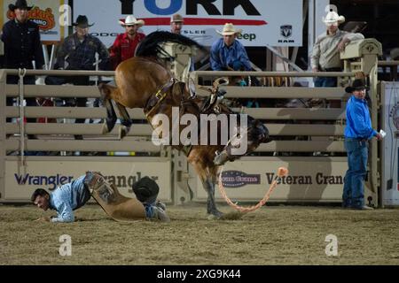 Prescott, Arizona, USA. Juli 2024. Ein Rodeo-Teilnehmer fällt am 6. Juli 2024 beim Saddle Bronc Riding Event beim WorldÃs Elst Rodeo in Prescott, Arizona, von seinem Pferd ab. Das Prescott Rodeo findet vom 1. Bis 7. Juli statt. (Kreditbild: © Darnell Renee/ZUMA Press Wire) NUR REDAKTIONELLE VERWENDUNG! Nicht für kommerzielle ZWECKE! Stockfoto