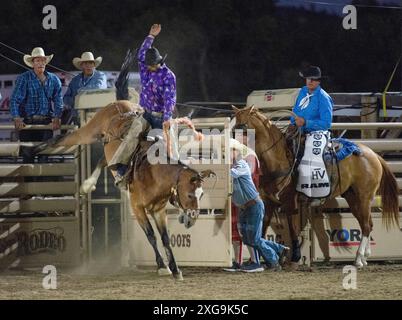 Prescott, Arizona, USA. Juli 2024. Ein Rodeo-Teilnehmer tritt am 6. Juli 2024 beim Saddle Bronc Riding Event im WorldÃs Elst Rodeo in Prescott, Arizona, an. Das Prescott Rodeo findet vom 1. Bis 7. Juli statt. (Kreditbild: © Darnell Renee/ZUMA Press Wire) NUR REDAKTIONELLE VERWENDUNG! Nicht für kommerzielle ZWECKE! Stockfoto