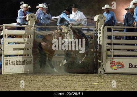 Prescott, Arizona, USA. Juli 2024. Ein Rodeo-Teilnehmer tritt am 6. Juli 2024 beim Saddle Bronc Riding Event im WorldÃs Elst Rodeo in Prescott, Arizona, an. Das Prescott Rodeo findet vom 1. Bis 7. Juli statt. (Kreditbild: © Darnell Renee/ZUMA Press Wire) NUR REDAKTIONELLE VERWENDUNG! Nicht für kommerzielle ZWECKE! Stockfoto