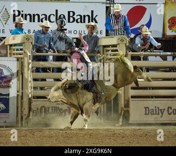 Prescott, Arizona, USA. Juli 2024. Der Rodeo-Teilnehmer Colt Robinson aus Prescott, Arizona, tritt am 6. Juli 2024 beim Bull Riding Event beim WorldÃs Elst Rodeo in Prescott, Arizona, an. Das Prescott Rodeo findet vom 1. Bis 7. Juli statt. (Kreditbild: © Darnell Renee/ZUMA Press Wire) NUR REDAKTIONELLE VERWENDUNG! Nicht für kommerzielle ZWECKE! Stockfoto