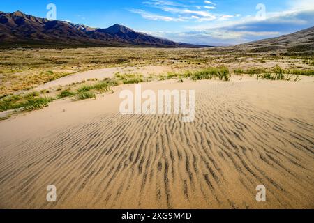 Kelso Dunes, auch bekannt als Kelso Dune Field, ist das größte Feld äolischer Sandvorkommen in der Mojave-Wüste. Die Region wird von der Mo geschützt Stockfoto
