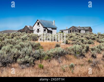 Eine alte Farm mit einem Haus, einer Scheune und anderen verlassenen Gebäuden befindet sich in der Nähe von Brogan, Oregon. Stockfoto