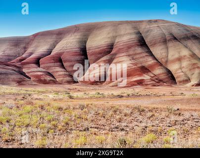 Einer der langen Hügel in der Painted Hiils Unit des John Day National Monument zeigt mehrere Bänder roter Mineralien. Stockfoto