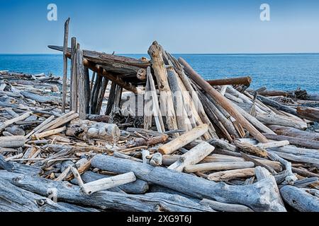 Ein raues, mageres Gebäude wurde aus Treibholz gebaut, um einen Unterschlupf am South Beach auf San Juan Island zu schaffen. Stockfoto