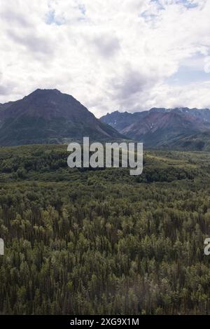 Bäume und Berge an einem bewölkten Sommertag im Matanuska-Susitna Valley in Alaska. Stockfoto