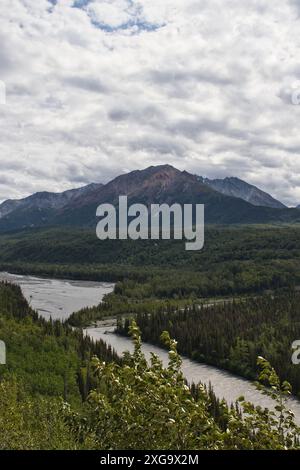 Bäume, Fluss und Berge an einem bewölkten Sommertag im Matanuska-Susitna Valley in Alaska. Stockfoto