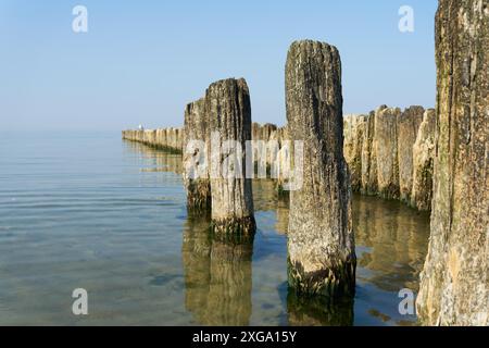 Wellenbrecher am Strand der polnischen Ostsee bei Kolobrzeg Stockfoto