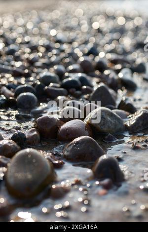 Steine am Strand der polnischen Ostseeküste Stockfoto