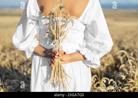 Frau in weißem Kleid steht auf dem Feld mit Weizen. Person in den Händen halten Bundle von reifen Stacheletts. Erntezeit. Hochwertige Fotos Stockfoto