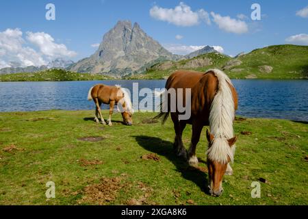 Pferdevorderseite Midi d Ossau, Gentau See, Ayous Seen Tour, Pyrenäen Nationalpark, Pyrenäen Atlantiques, Frankreich Stockfoto