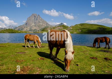 Pferdevorderseite Midi d Ossau, Gentau See, Ayous Seen Tour, Pyrenäen Nationalpark, Pyrenäen Atlantiques, Frankreich Stockfoto