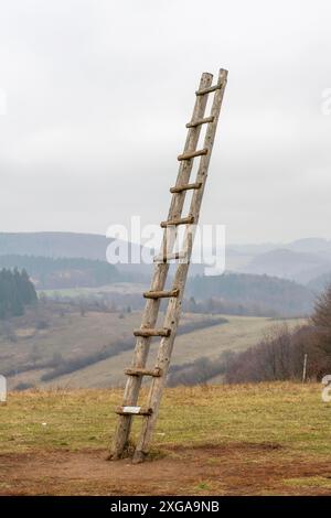 Alte Holzleiter auf der Wiese, die hoch in den Himmel führt, Leiter zum Himmel. Symbol für Karriere Stockfoto