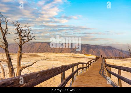 Mammoth Hot Springs im Yellowstone-Nationalpark Stockfoto